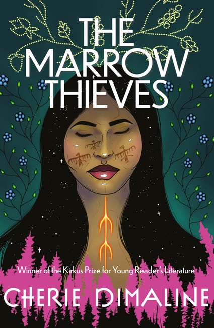 rachel-recommends-the-marrow-thieves-by-cherie-dimaline-books-books