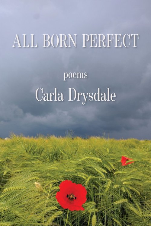 All Born Perfect Cover